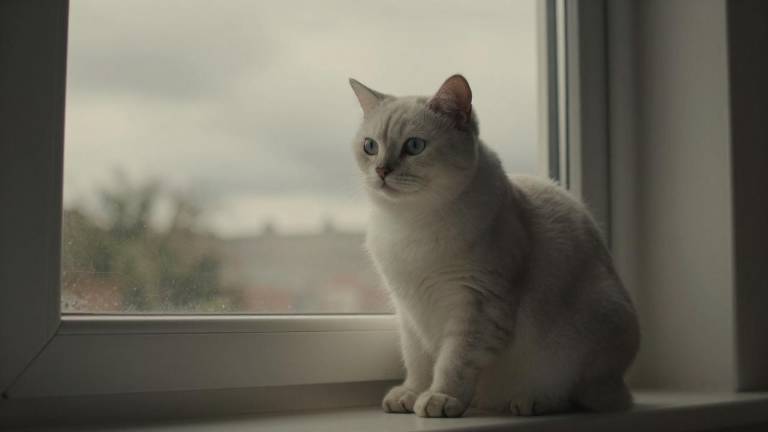 清洁能源占比突破50%的转型之路与综合能源体系建设第三张图