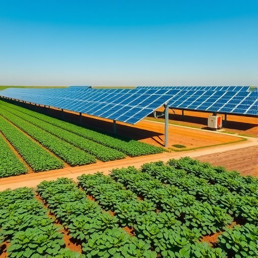 农业光伏电站项目成功并网，年发电量达1.6亿千瓦时助力减排 - 兰州联臻能源网