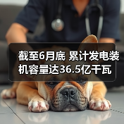 截至6月底 累计发电装机容量达36.5亿千瓦（图4）