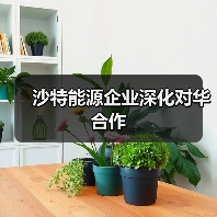 沙特能源企业深化对华合作（图3）