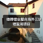 赣锋锂业整合海外三块锂盐湖项目（图3）