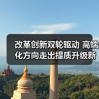 改革创新双轮驱动 高端化方向走出提质升级新路（图4）