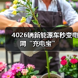 4026辆新能源车秒变电网“充电宝”（图4）