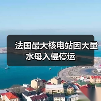 法国最大核电站因大量水母入侵停运（图3）