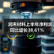 润禾材料上半年净利润同比增长38.61%（图1）