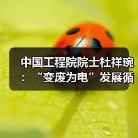 中国工程院院士杜祥琬：“变废为电”发展循环经济（图1）