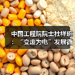 中国工程院院士杜祥琬：“变废为电”发展循环经济（图2）