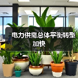 电力供需总体平衡转型加快（图4）