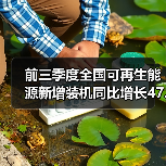 前三季度全国可再生能源新增装机同比增长47.7% - 兰州联臻能源网
