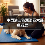 中国清洁能源助亚太绿色发展(图4) 中国清洁能源助亚太绿色发展(图4)
