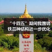“十四五”期间我国钢铁品种结构进一步优化升级（图3）