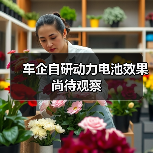 车企自研动力电池效果尚待观察 - 兰州联臻能源网