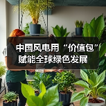 中国风电用“价值包”赋能全球绿色发展(图4) 中国风电用“价值包”赋能全球绿色发展(图4)