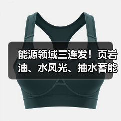能源领域三连发！页岩油、水风光、抽水蓄能齐突破（图2）