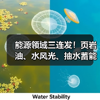 能源领域三连发！页岩油、水风光、抽水蓄能齐突破（图3）