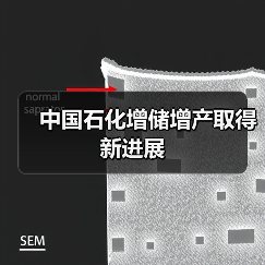 中国石化增储增产取得新进展(图2) 中国石化增储增产取得新进展(图2)