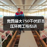 我国最大750千伏超高压环网工程投运(图2) 我国最大750千伏超高压环网工程投运(图2)