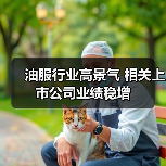 油服行业高景气 相关上市公司业绩稳增（图3）