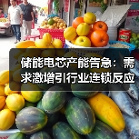 储能电芯产能告急:需求激增引行业连锁反应(图1) 储能电芯产能告急:需求激增引行业连锁反应(图1)