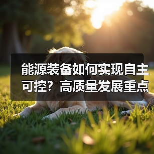 能源装备如何实现自主可控？高质量发展重点任务解析（图4）