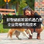 新型储能发展机遇凸显 企业竞相布局技术(图3) 新型储能发展机遇凸显 企业竞相布局技术(图3)