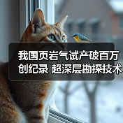 我国页岩气试产破百万创纪录 超深层勘探技术突破(图2) 我国页岩气试产破百万创纪录 超深层勘探技术突破(图2)