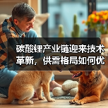 碳酸锂产业链迎来技术革新，供需格局如何优化？（图4）
