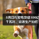 8月日均发电突破300亿千瓦时，能源生产如何稳中有进？（图4）