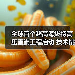 全球首个超高海拔特高压直流工程启动 技术挑战与环保效益如何?(图1) 全球首个超高海拔特高压直流工程启动 技术挑战与环保效益如何?(图1)