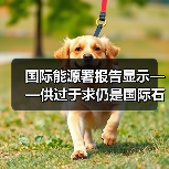 国际能源署报告显示——供过于求仍是国际石油市场隐忧（图1）