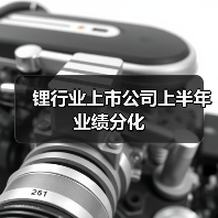 锂行业上市公司上半年业绩分化(图1) 锂行业上市公司上半年业绩分化(图1)