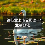 锂行业上市公司上半年业绩分化(图4) 锂行业上市公司上半年业绩分化(图4)