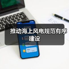 推动海上风电规范有序建设(图3) 推动海上风电规范有序建设(图3)