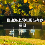 推动海上风电规范有序建设(图4) 推动海上风电规范有序建设(图4)