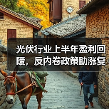 光伏行业上半年盈利回暖,反内卷政策助涨复苏(图3) 光伏行业上半年盈利回暖,反内卷政策助涨复苏(图3)