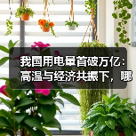我国用电量首破万亿：高温与经济共振下，哪些产业引领增长？（图4）
