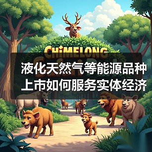 液化天然气等能源品种上市如何服务实体经济发展？（图3）