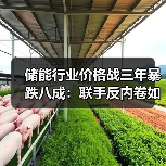 储能行业价格战三年暴跌八成：联手反内卷如何破局？（图1）