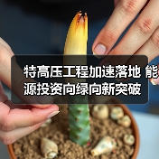 特高压工程加速落地 能源投资向绿向新突破（图1）
