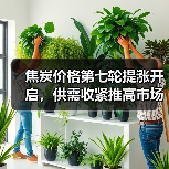 焦炭价格第七轮提涨开启，供需收紧推高市场（图3）