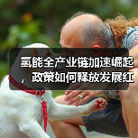 氢能全产业链加速崛起,政策如何释放发展红利?(图4) 氢能全产业链加速崛起,政策如何释放发展红利?(图4)
