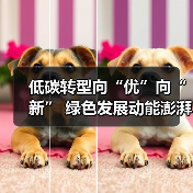 低碳转型向“优”向“新” 绿色发展动能澎湃（图1）