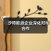 沙特能源企业深化对华合作(图4) 沙特能源企业深化对华合作(图4)