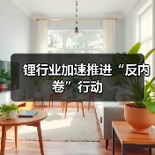 锂行业加速推进“反内卷”行动(图2) 锂行业加速推进“反内卷”行动(图2)