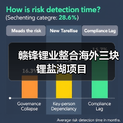 赣锋锂业整合海外三块锂盐湖项目（图3）