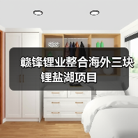 赣锋锂业整合海外三块锂盐湖项目（图2）