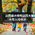 法国最大核电站因大量水母入侵停运(图3) 法国最大核电站因大量水母入侵停运(图3)