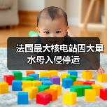 法国最大核电站因大量水母入侵停运(图2) 法国最大核电站因大量水母入侵停运(图2)