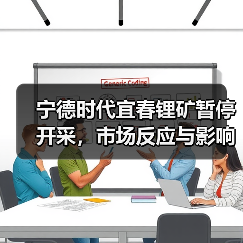 宁德时代宜春锂矿暂停开采,市场反应与影响分析(图2) 宁德时代宜春锂矿暂停开采,市场反应与影响分析(图2)