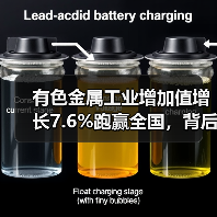 有色金属工业增加值增长7.6%跑赢全国，背后原因何在？（图3）